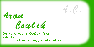 aron csulik business card